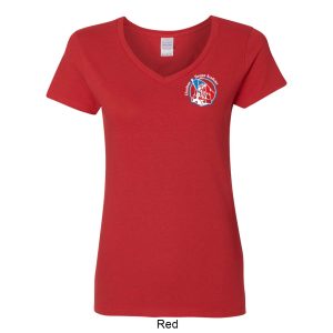 Ladies V-Neck T-Shirt