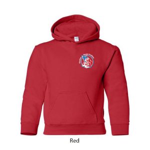 Youth Hoodie