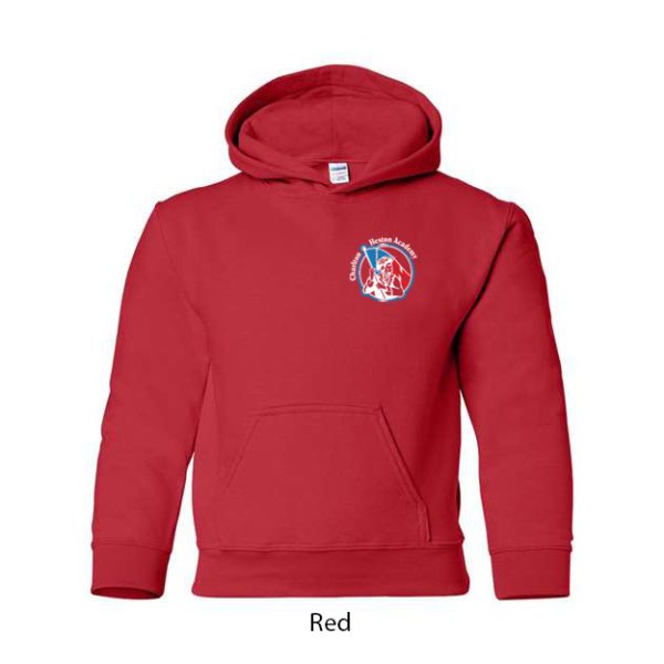 Youth Hoodie