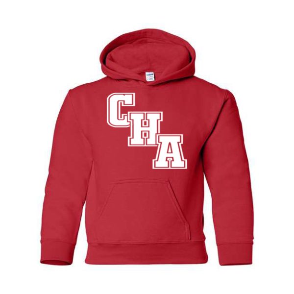 Youth Hoodie - Image 4