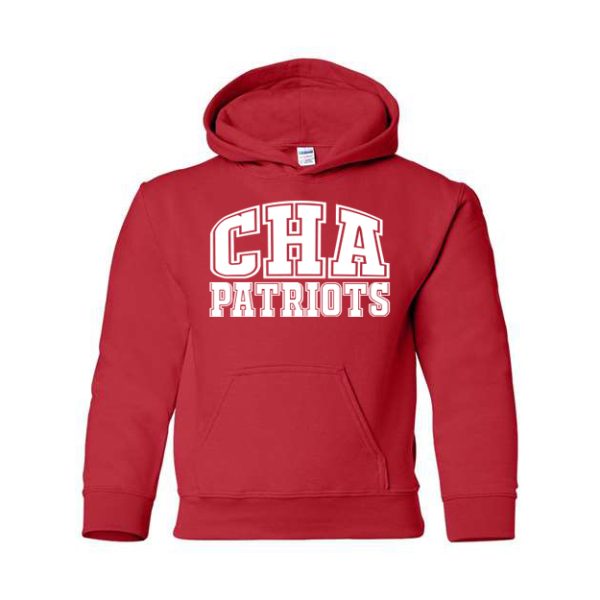 Youth Hoodie